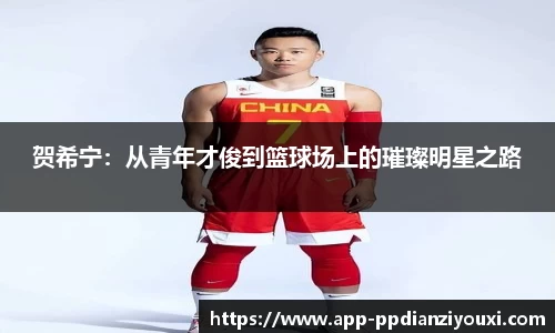 贺希宁：从青年才俊到篮球场上的璀璨明星之路